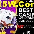 Variedade de jogos na 498bet